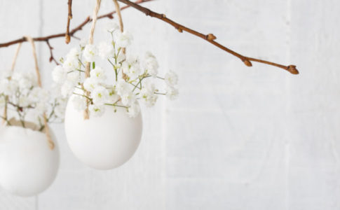 卵の中に咲く白い花