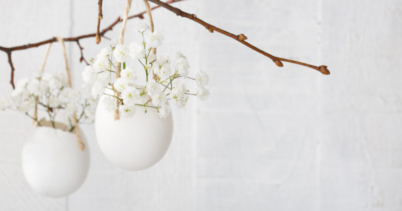 卵の中に咲く白い花