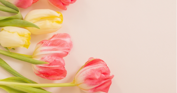 敬老の日には人気の花を贈ろう もらって嬉しい華やかなフラワーギフト特集 Mood Mark Idea