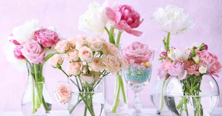 【生花・鉢植え】瑞々しい美しさが魅力の花のプレゼント