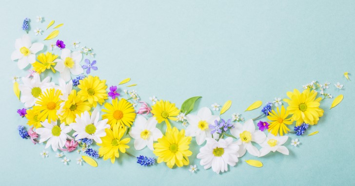 入学祝いに贈る花の相場はどのくらい？