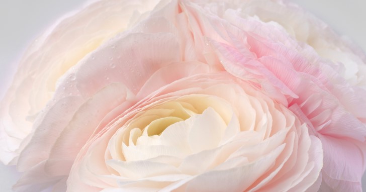 予算1万円での女友達へのプレゼント、大切なのは？