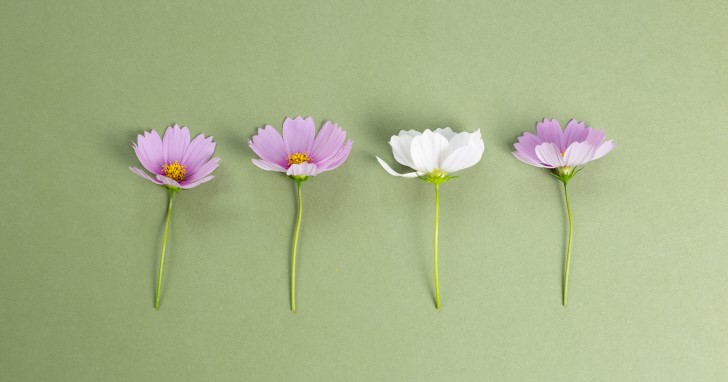 喜ばれるプレゼントを選ぶなら、女性の心を掴むテーマを決めよう