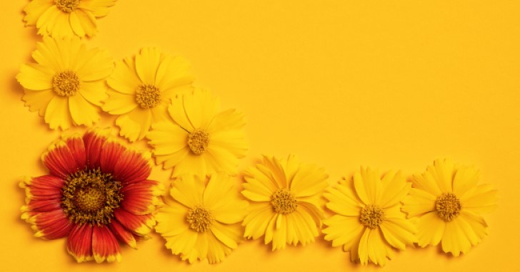 女友達に喜びと笑いを一緒に届けよう