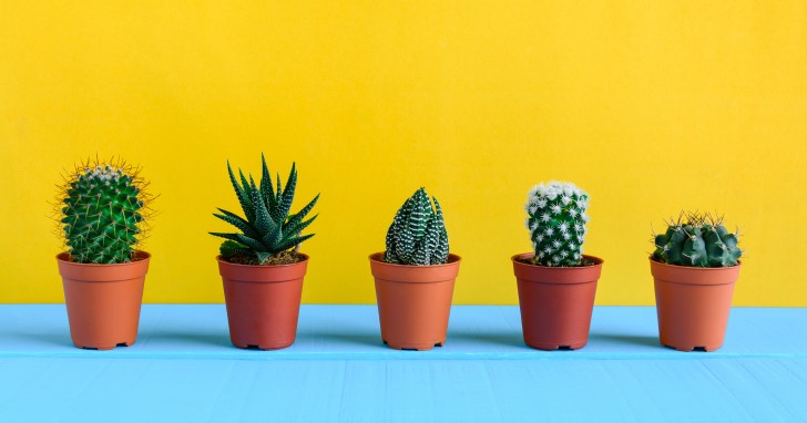 面白くておしゃれな「インテリア雑貨」を贈る