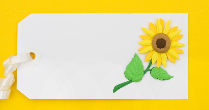 夏生まれの友達に贈る誕生日プレゼントの選び方