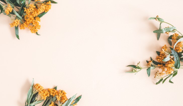 妻に贈るホワイトデーのお返しの選び方