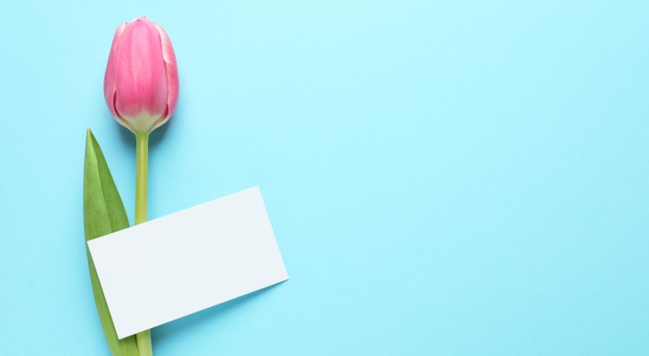 5,000円台で探す送別会のプレゼントの選び方