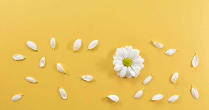 【相手別】転勤する人へのプレゼント｜選び方のコツ