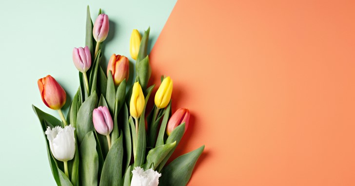 華やかさを添える50代女性への送別品｜花ギフト