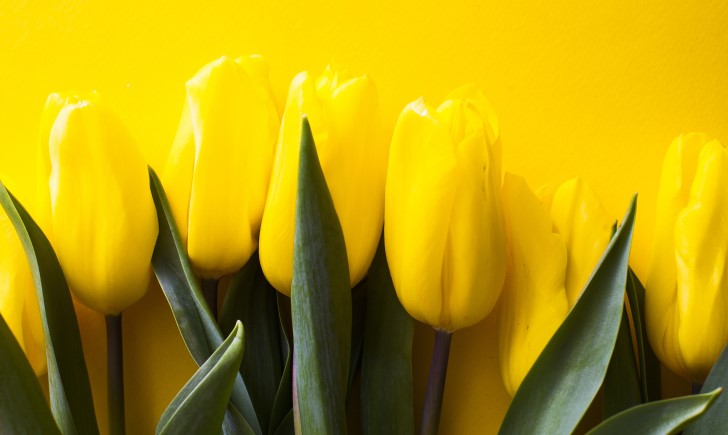 【女性の上司や先輩へ】日常的に使える、おしゃれな人気アイテム10選